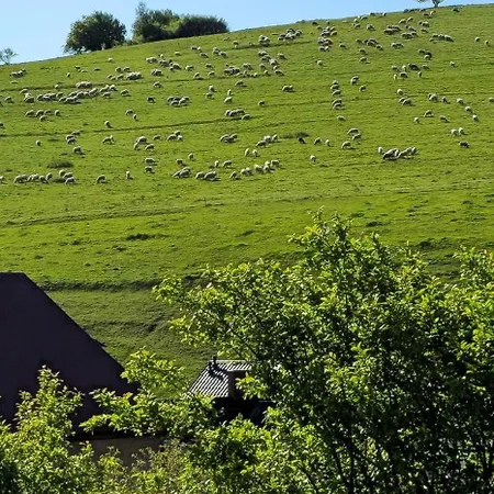 Pod Wisnia * Mizerna